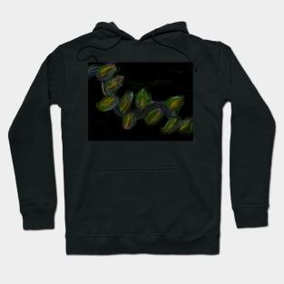 Vine Hoodie